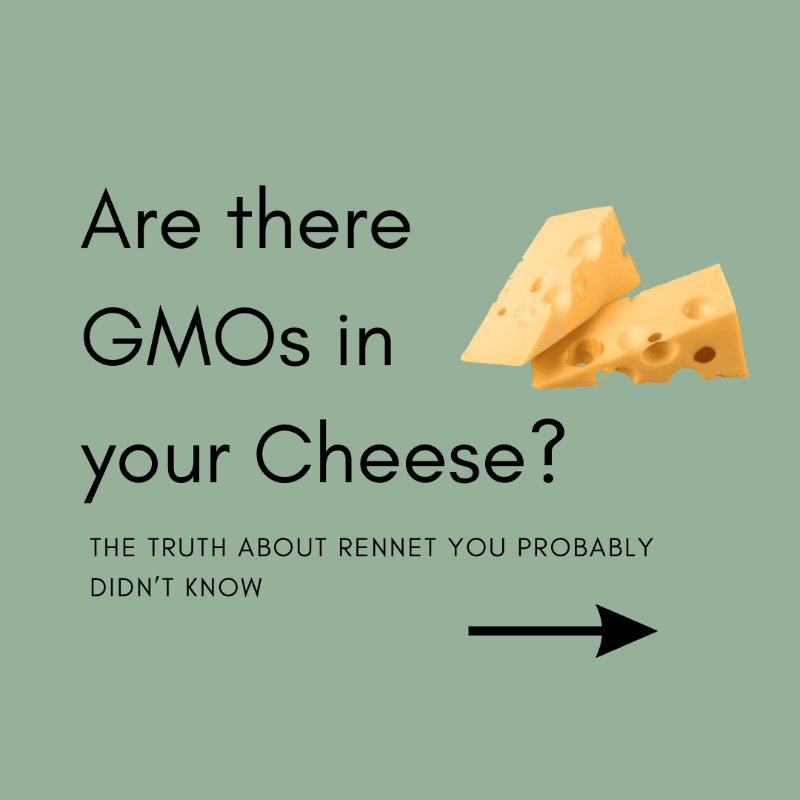 The Truth About GMO-Derived Rennet and Why It's Important to Choose GMO-Free Cheese